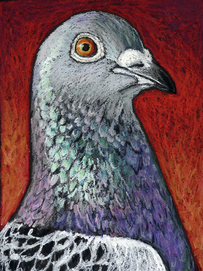 Racing Pigeon Painting - Blaze the Racing Pigeon by Ande Hall