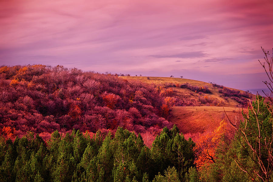 Blazing Autumn Photograph by Mountain Dreams