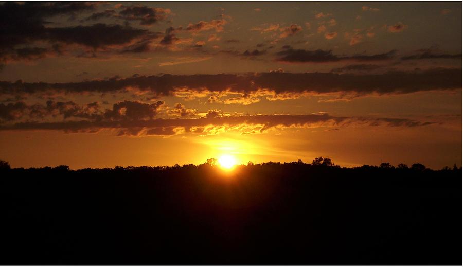 Sunset Photograph - Blazing Glory by Shelley Patten-Forster
