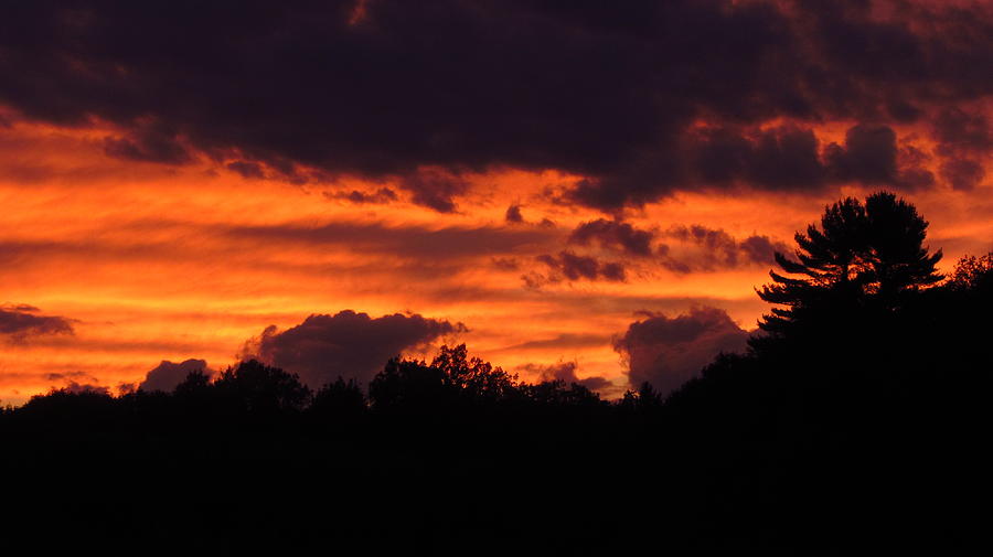 Blazing Maine Sunset Photograph by Bill Tomsa
