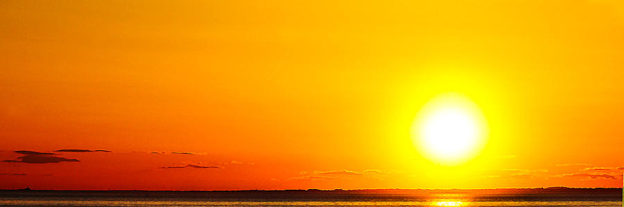 Blazing Sun Photograph by JoAnn Lense