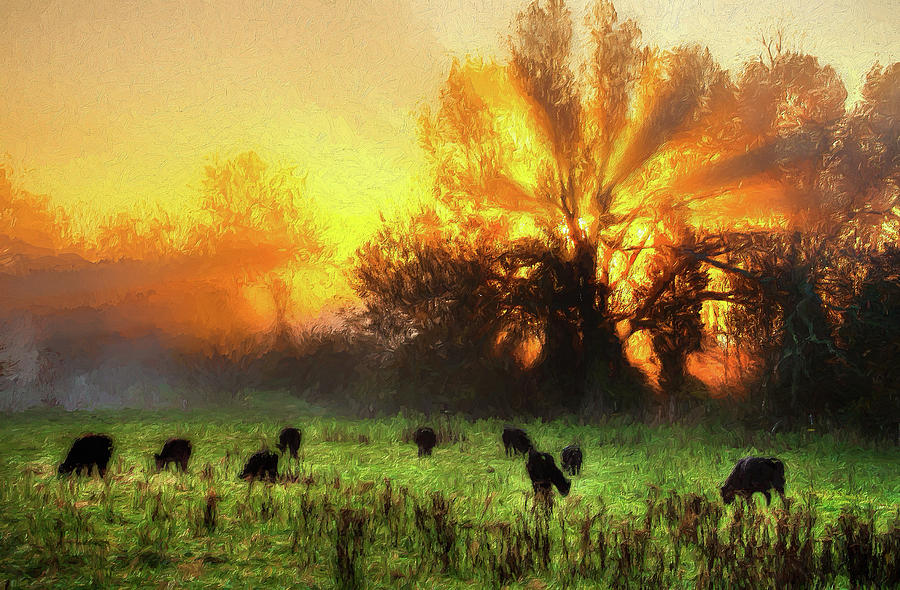 Blazing Sunrise over a Farm Pasture Horizontal AP Digital Art by Dan Carmichael