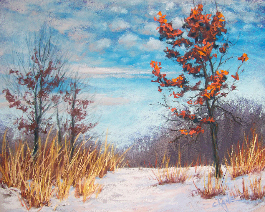 Blazing Winter Grasses Pastel By Christine Camp