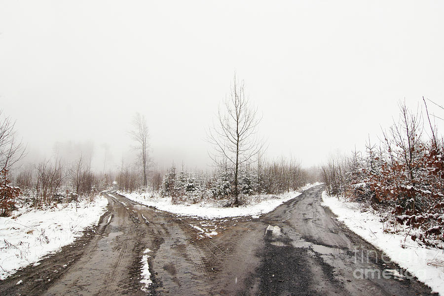 Winter Photograph - Bleak by Michal Boubin