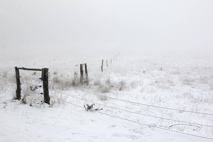 Bleak - pastures in the winter and fog Photograph by Michal Boubin