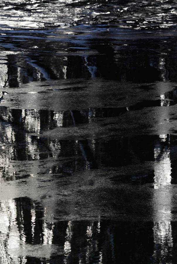 Bleak Winter 2 - Vertical Photograph by Richard Andrews