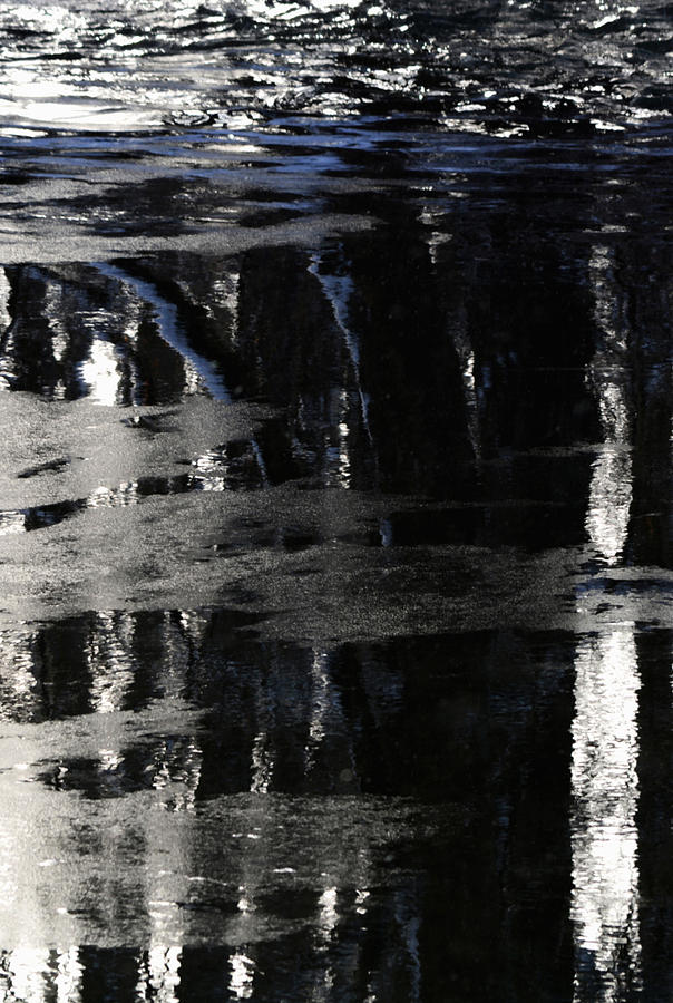 Bleak Winter - Vertical Photograph by Richard Andrews