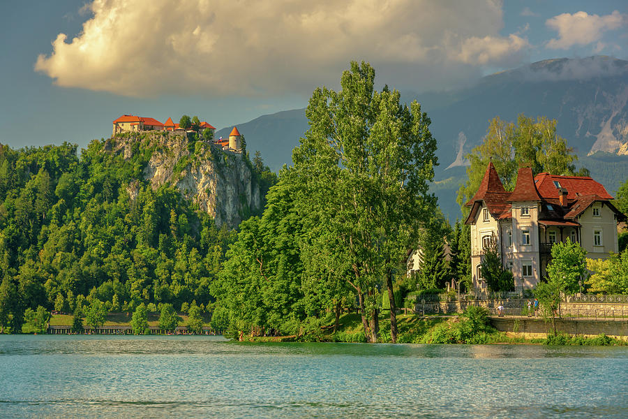 Bled Castle Photograph by Andrew Matwijec