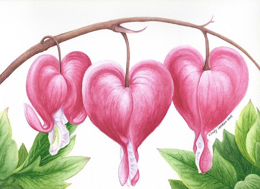 Bleeding Heart Flowers Painting by Cindy Lenker