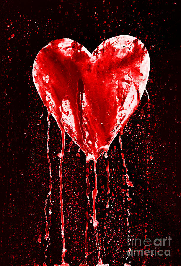 Valentines Day Photograph - Bleeding Heart by Michal Boubin