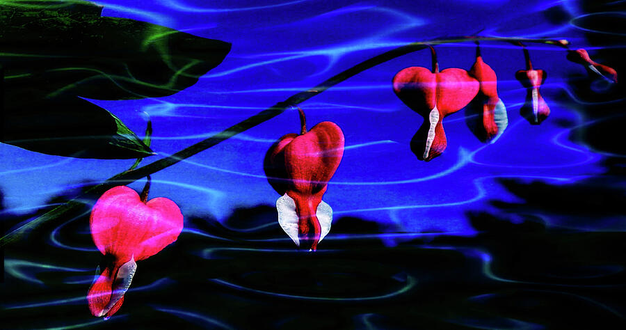 Flower Mixed Media - Bleeding Hearts-Spirit of Love by Mike Breau