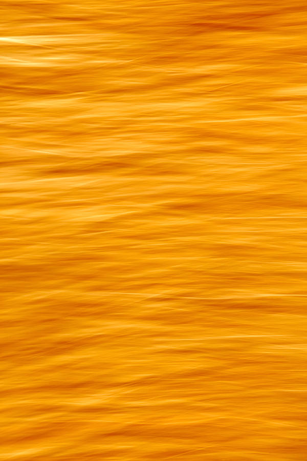 Bleeding Orange Photograph by Todd Klassy