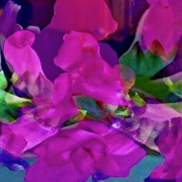 Blended Floral Digital Art
