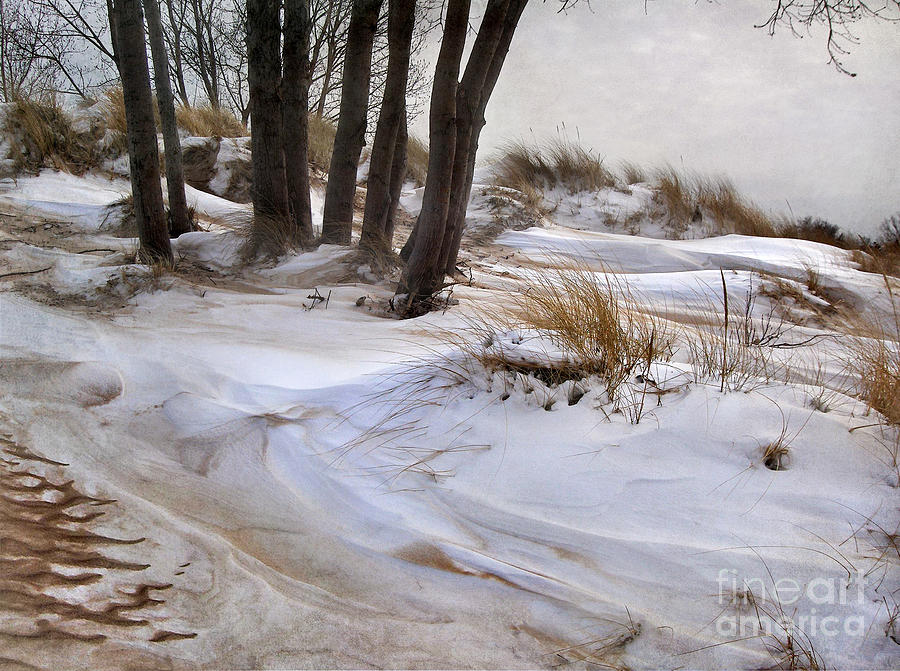 Blending Sand and Snow Photograph by Kathi Mirto