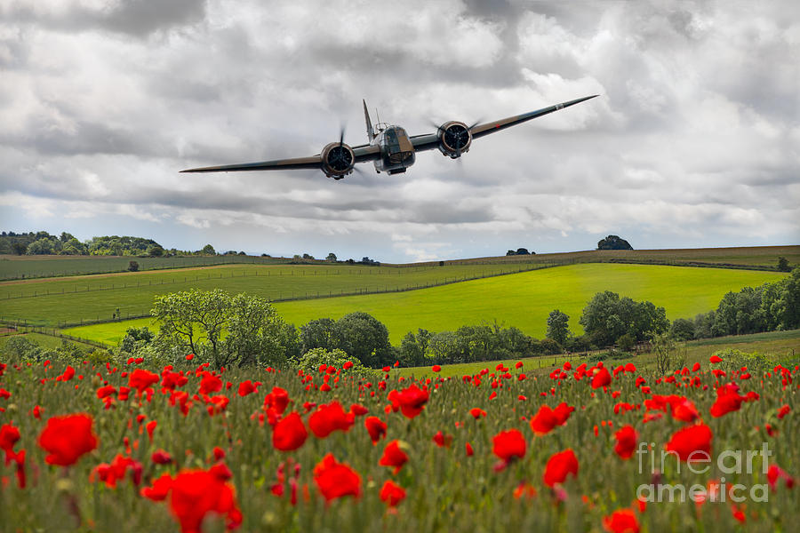 Blenheim Poppy pass Digital Art by Airpower Art