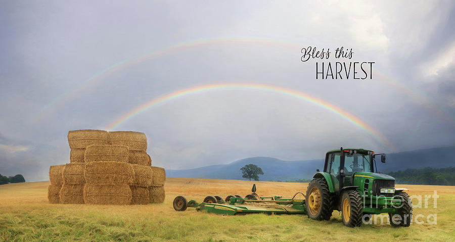 Bless This Harvest Photograph by Lori Deiter