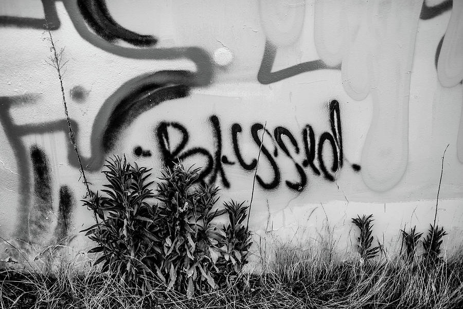 Blessed Photograph by Cheney Martinez - Pixels