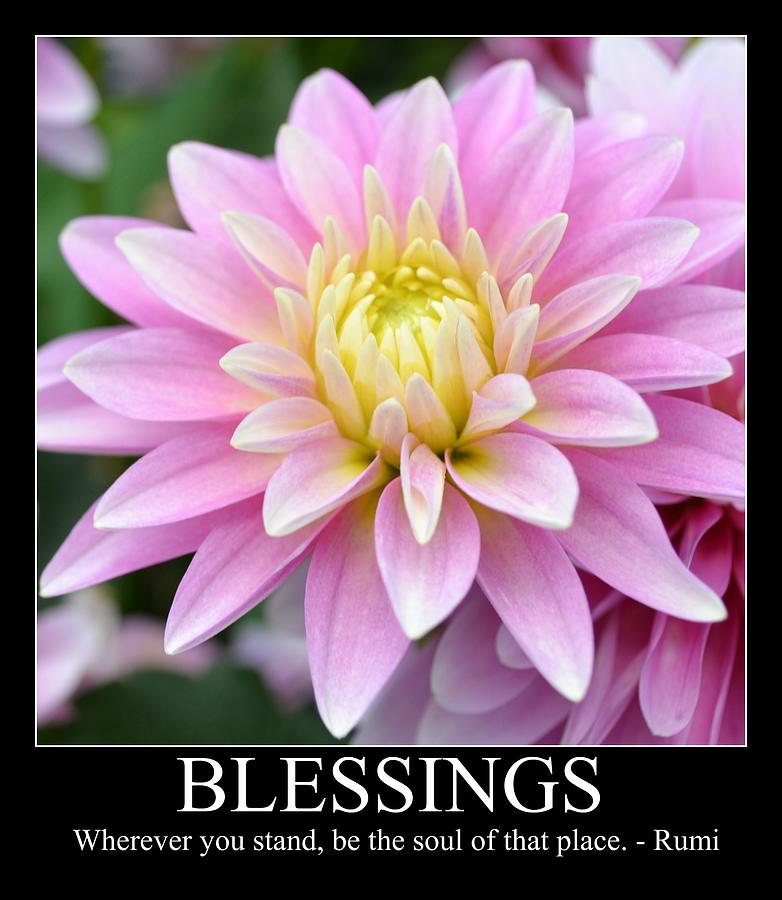 Flower Photograph - Blessings Dahlia by P S