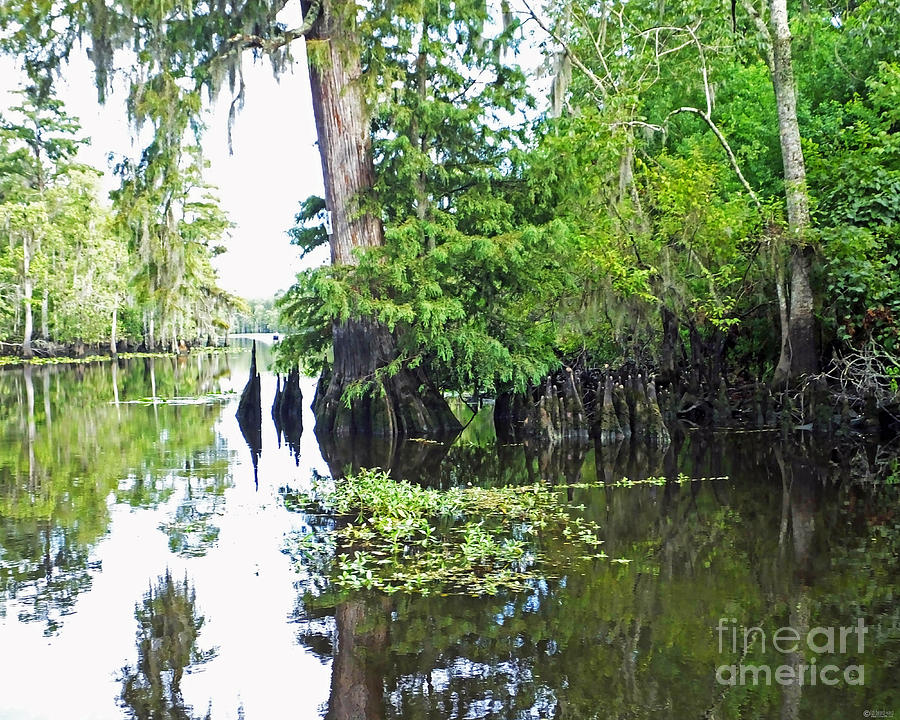 Blind River Louisiana Photograph by Lizi Beard-Ward