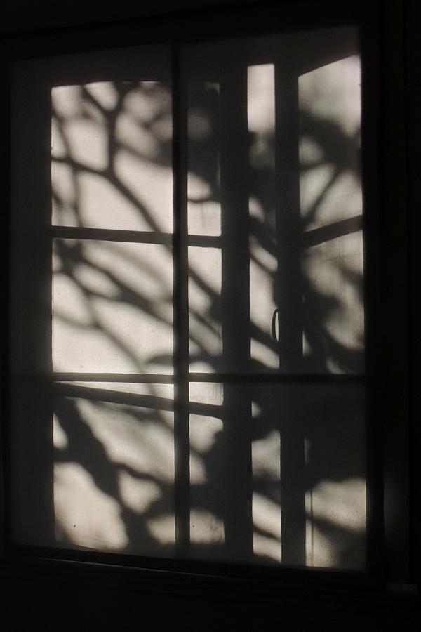 Blind Shadows Photograph by Denise Clark