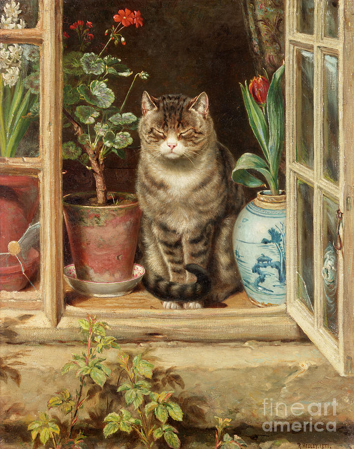 Cat Painting - Blinking in the Sun by Ralph Hedley