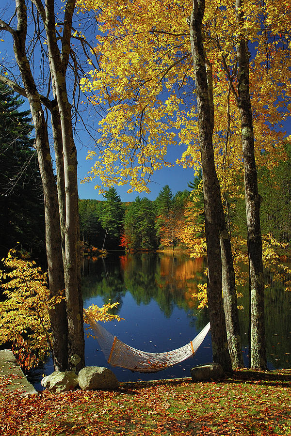 Fall Photograph - Bliss - New England Fall Landscape hammock by Jon Holiday