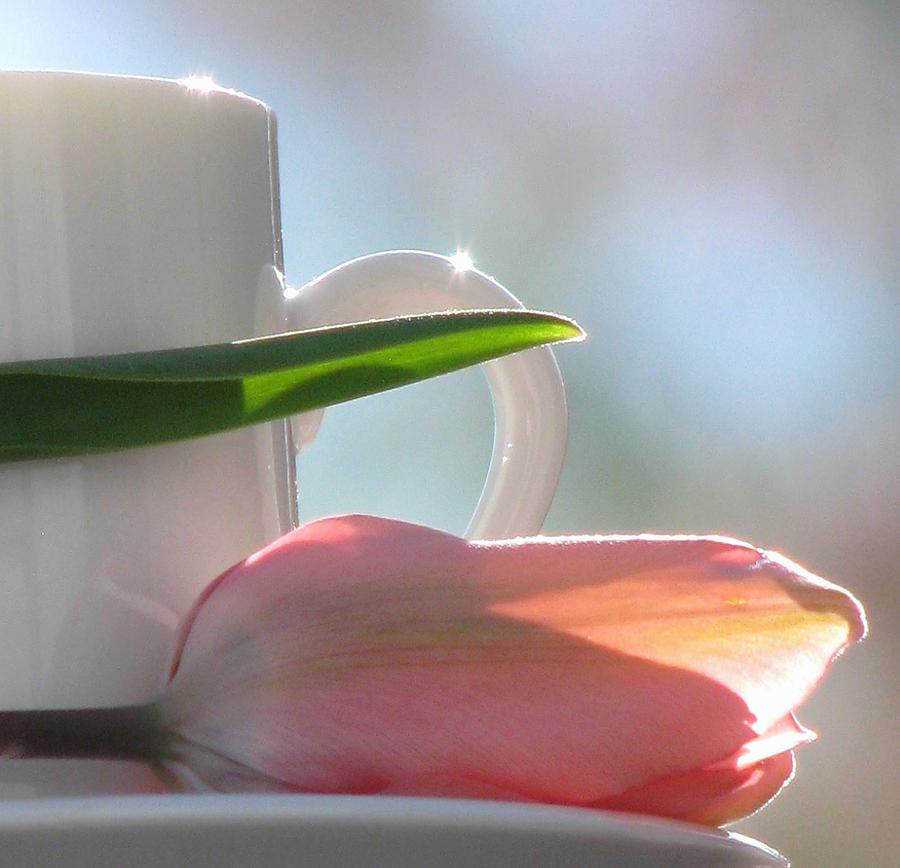 Cup Photograph - Bliss by Angela Davies