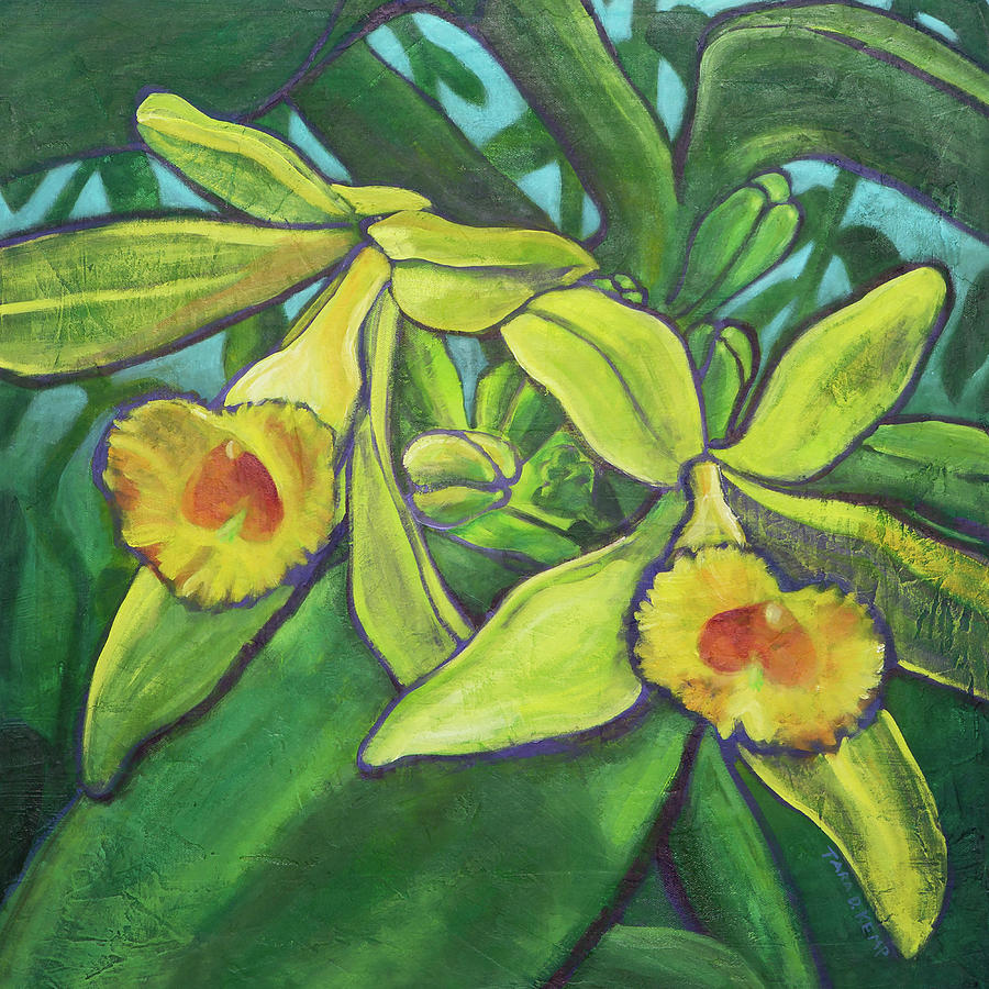 Blissful Vanilla Orchids Painting by Tara D Kemp