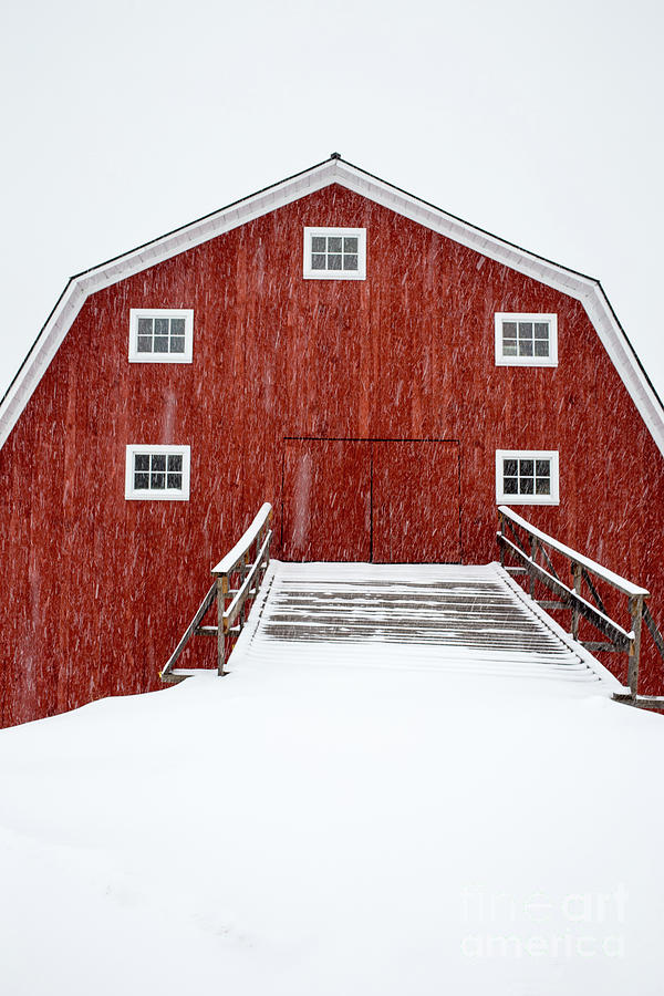 Winter Photograph - Blizzard at the Old Cow Barn by Edward Fielding