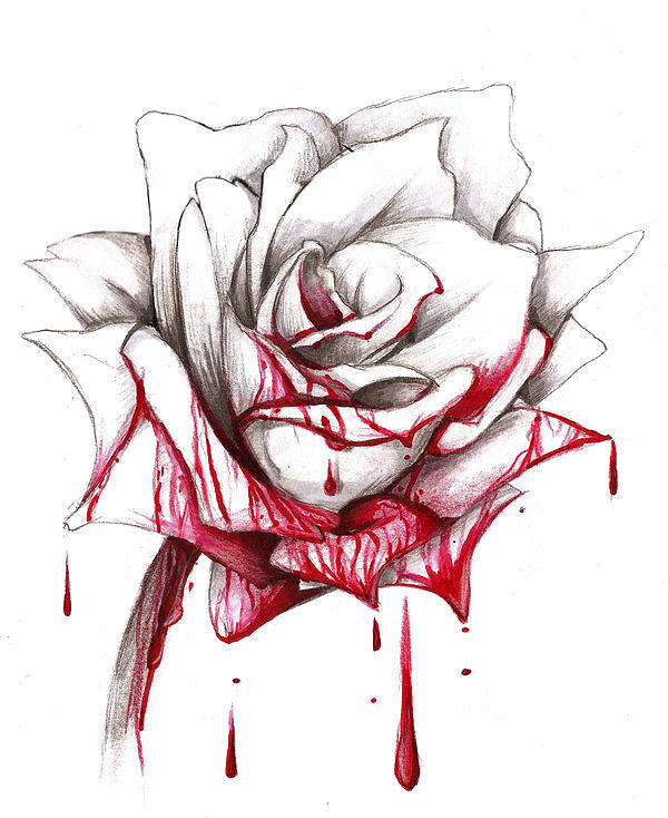 Bloddy Rose Drawing by Gabriel Baez - Fine Art America