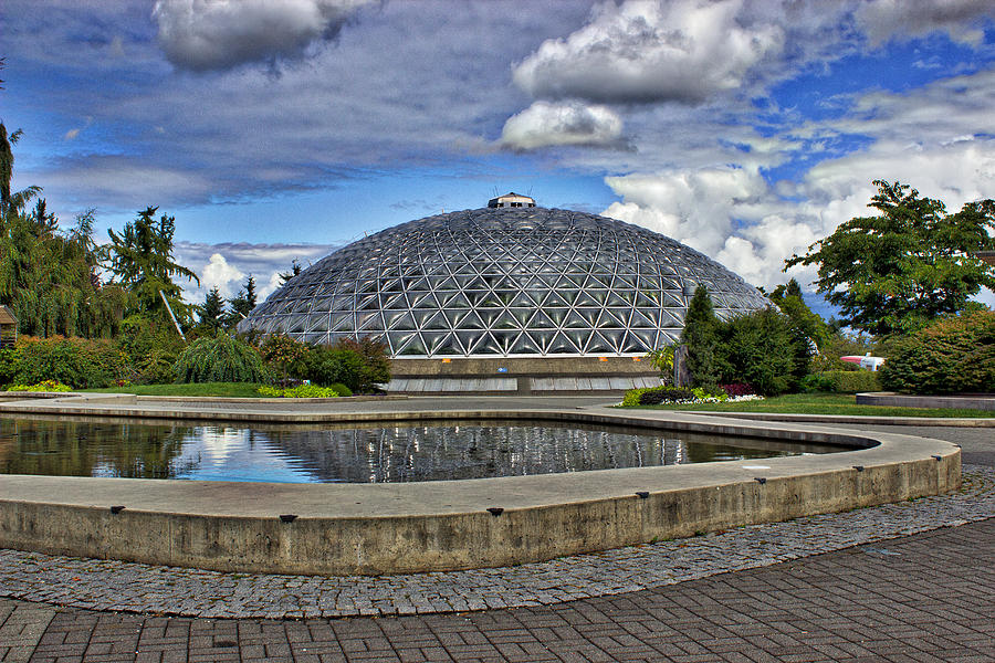 Bloedel Conservatory Photograph By Gwilanne Parker