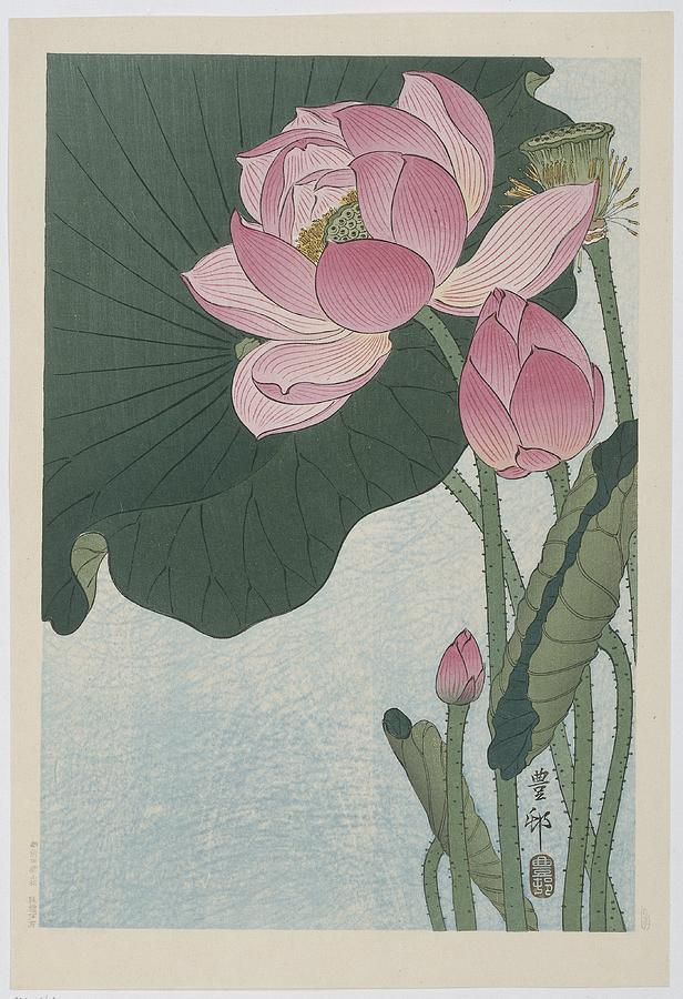 Bloeiende lotusbloemen Painting by Ohara Koson