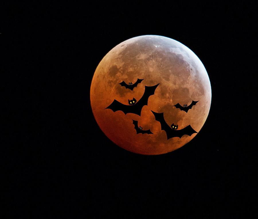 Blood Full Moon And Bats Photograph