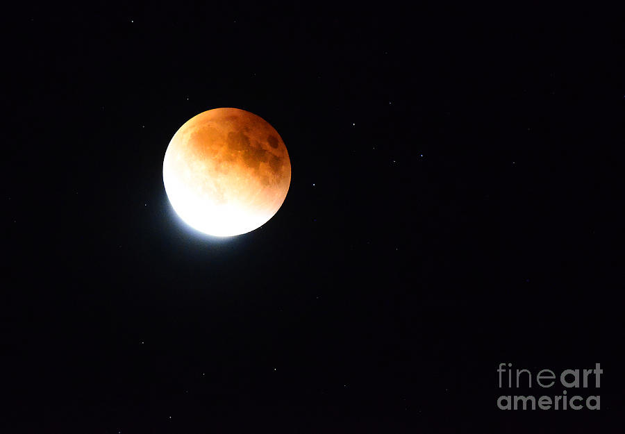 Space Photograph - Blood Moon 2015 by Bob Christopher