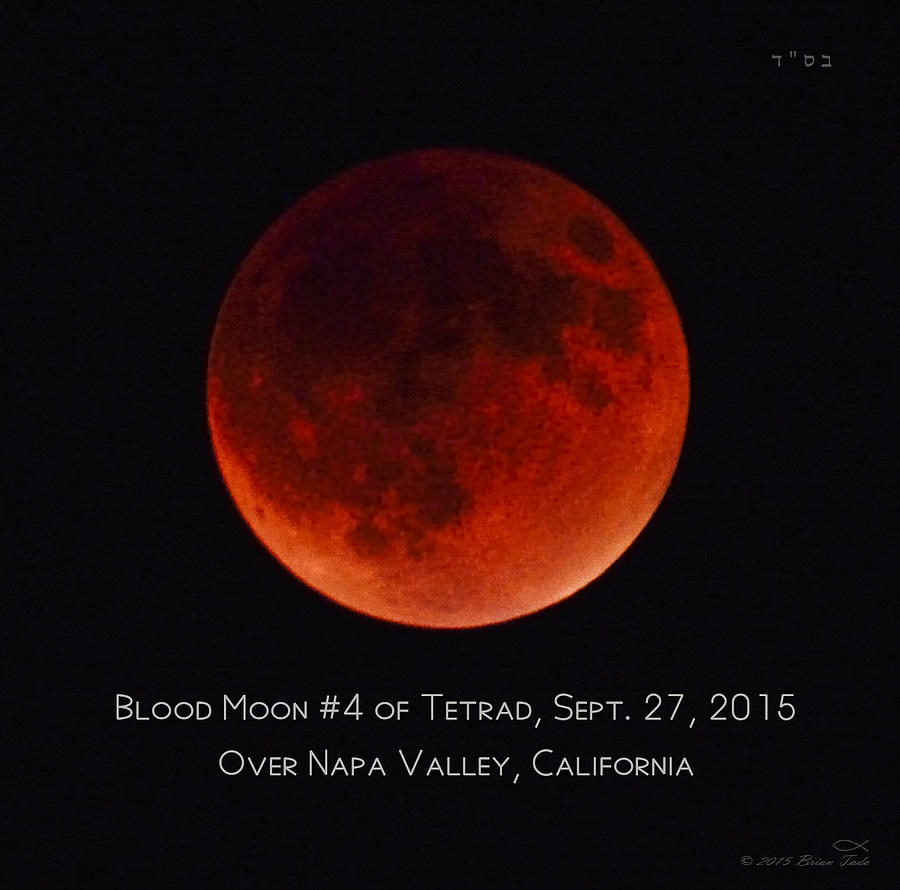 Blood Moon #4 Of 2014-2015 Tetrad Photograph