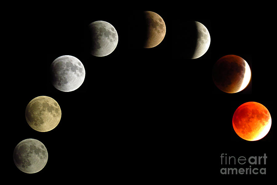 Blood Moon and Eclipse 2 Photograph by Stephanie Forrer-Harbridge ...