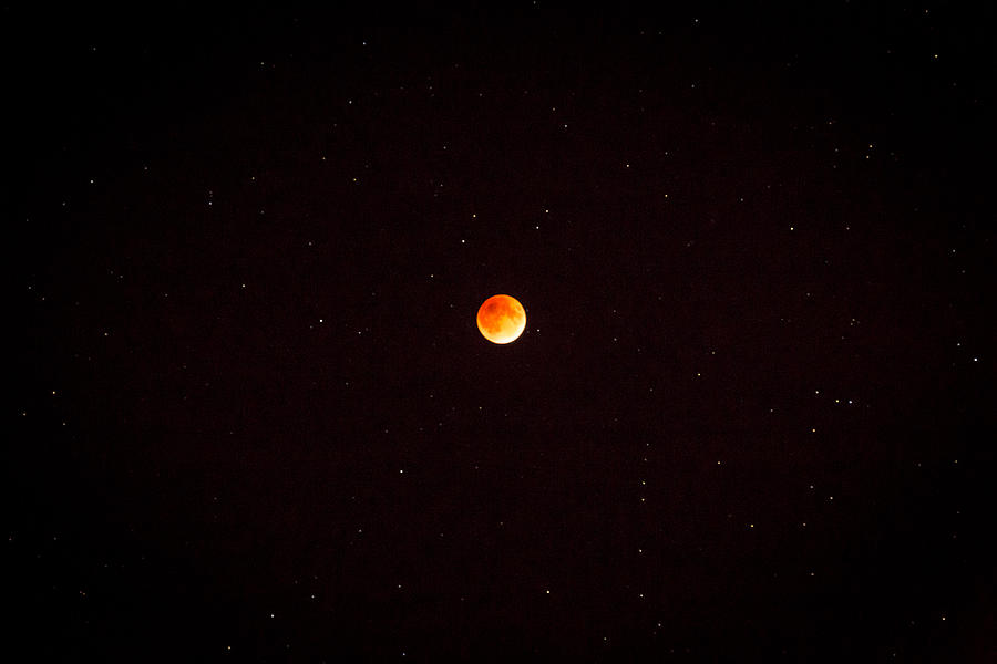 Blood Moon and Stars  Photograph by Jack R Perry