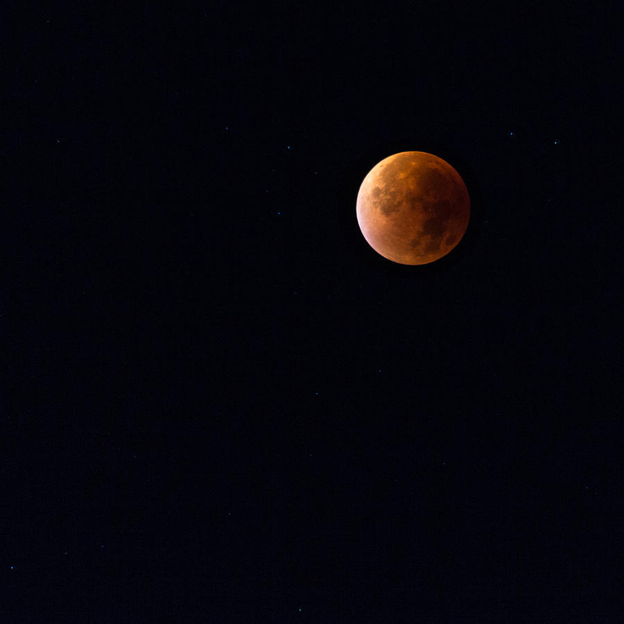 Blood Moon Photograph by Andreas Levi