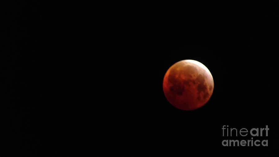 Blood Moon by Chandra Nyleen Blood Moon by Chandra Nyleen
