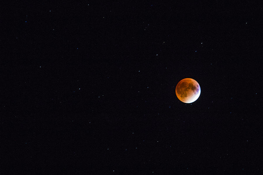 Blood Moon Photograph by White Mountain Images