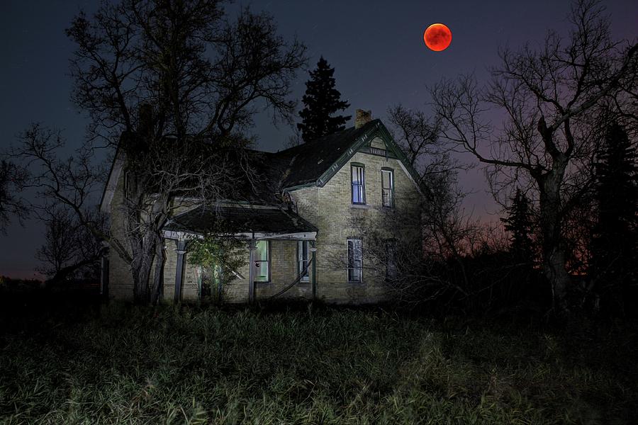 Blood Moon  Photograph by David Matthews