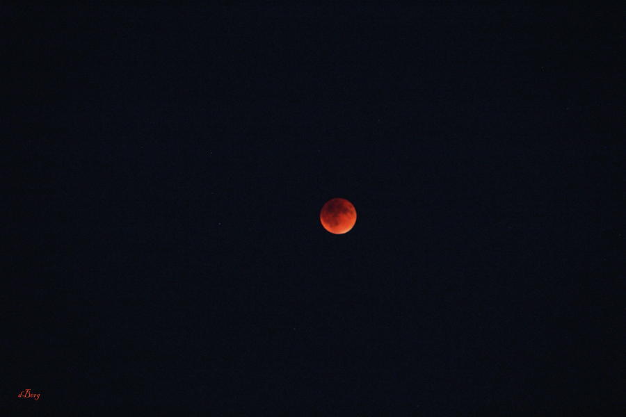 Blood Moon Photograph by Douglas Berg