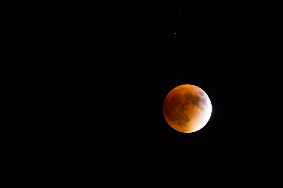 Blood Moon Eclipse 2015 Photograph