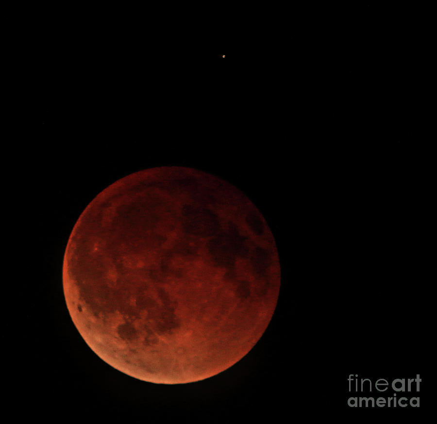 Blood Moon Eclipse Photograph by Mark Jackson