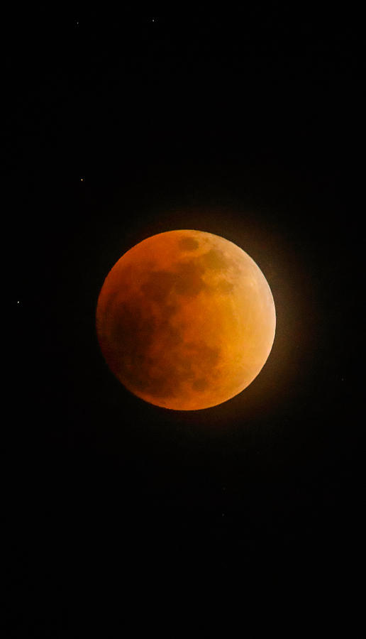 Blood moon from South Korea Photograph by Hyuntae Kim