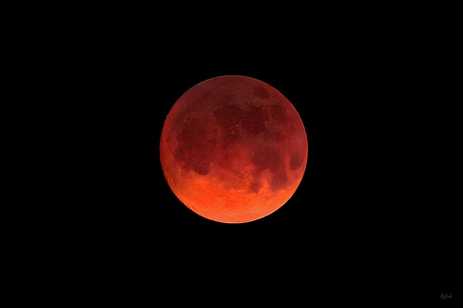 Blood Moon Photograph by Greg Norrell