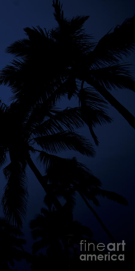 Nature Photograph - Blood Moon in Hawaii  - Triptych   part 3 of 3 by Sean Davey