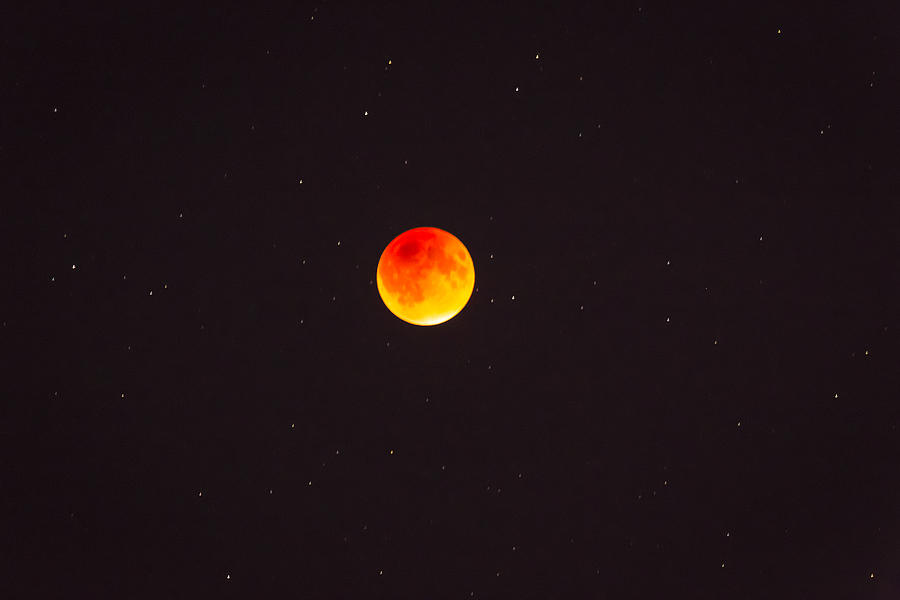 Blood Moon and Stars #2 Photograph by Jack R Perry