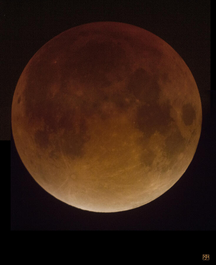 Blood Moon Photograph by John Meader