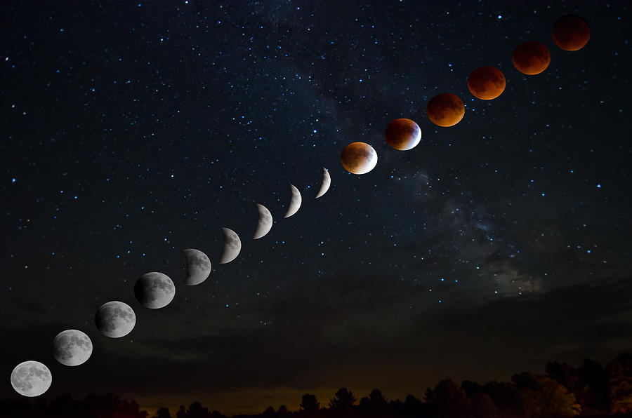 Blood Moon Lunar Eclipse Photograph by Crystal Wightman - Fine Art America